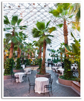Navy Pier Corporate Events