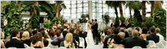 Chicago Weddings