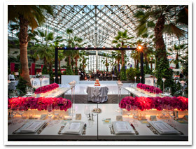 Navy Pier Weddings